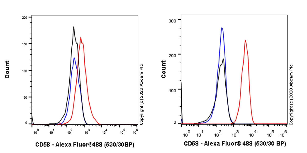 Flow Cytometry - Anti-CD58 antibody [EPR24012-147] (AB275392)