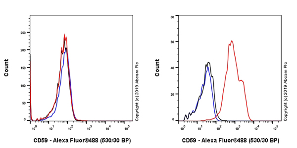 Flow Cytometry - Anti-CD59 antibody [EPR22394-242] - BSA and Azide free (AB254194), expandable thumbnail