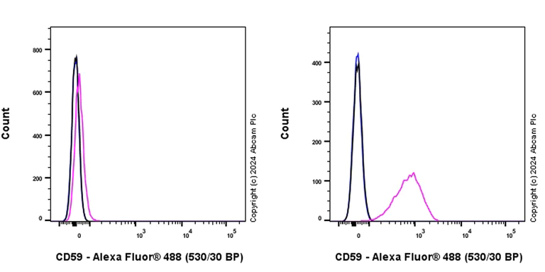 Flow Cytometry - Anti-CD59 antibody [EPR28954-50] (AB318140)