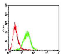 Flow Cytometry - Anti-CD6/T12 antibody [5A10A2] (AB204949)