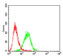 Flow Cytometry - Anti-CD6/T12 antibody [5A10A2] (AB204949)