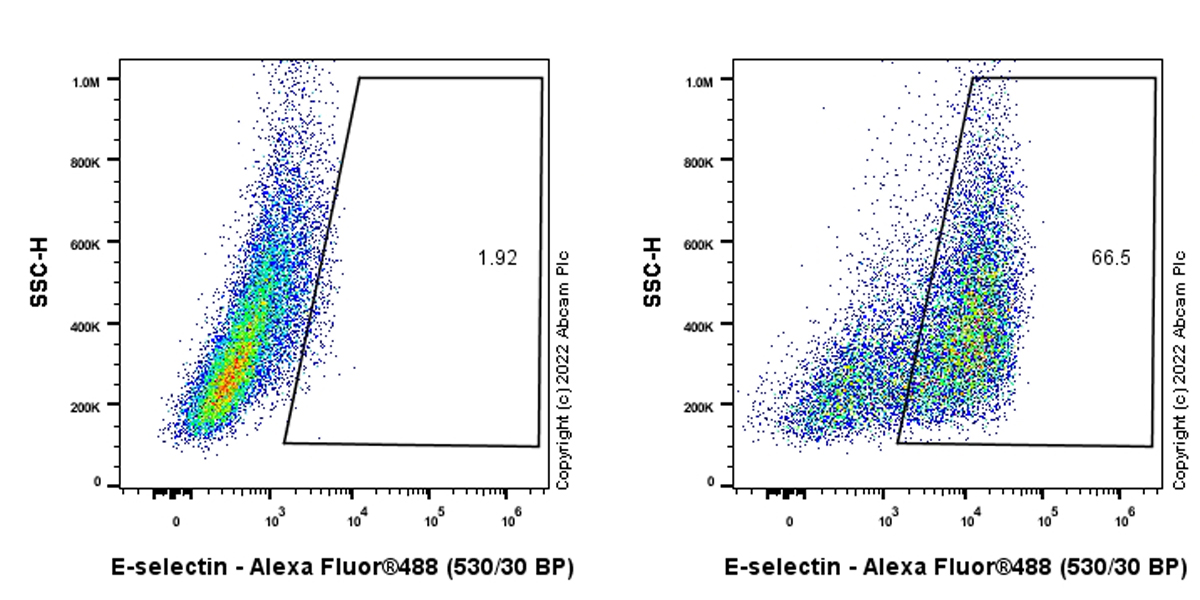 Flow Cytometry (Intracellular) - Anti-CD62E antibody [EPR25616-62] - BSA and Azide free (AB300558), expandable thumbnail