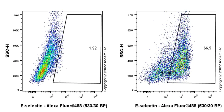 Flow Cytometry (Intracellular) - Anti-CD62E antibody [EPR25616-62] - BSA and Azide free (AB300558)