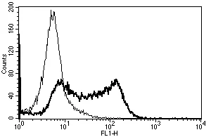 Flow Cytometry - Anti-CD62L antibody [B-S13] - BSA and Azide free (AB47078)
