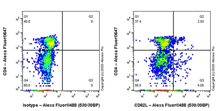 Flow Cytometry - Anti-CD62L antibody [DREG-56] (AB254540)