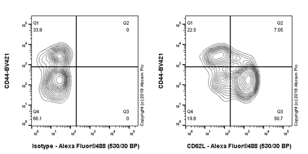 Flow Cytometry - Anti-CD62L antibody [EPR17012-27] (AB253240)