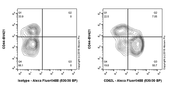 Flow Cytometry - Anti-CD62L antibody [EPR17012-27] - BSA and Azide free (AB254203), expandable thumbnail