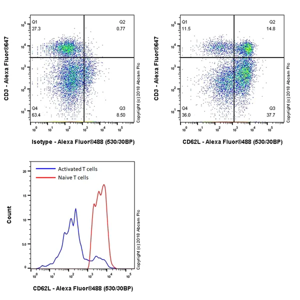Flow Cytometry - Anti-CD62L antibody [EPR22188-297] - BSA and Azide free (AB245124)