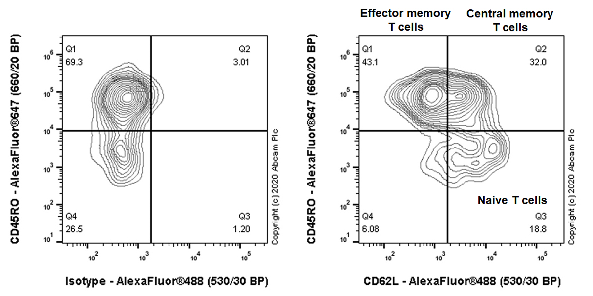 Flow Cytometry - Anti-CD62L antibody [EPR23565-109] (AB245239)
