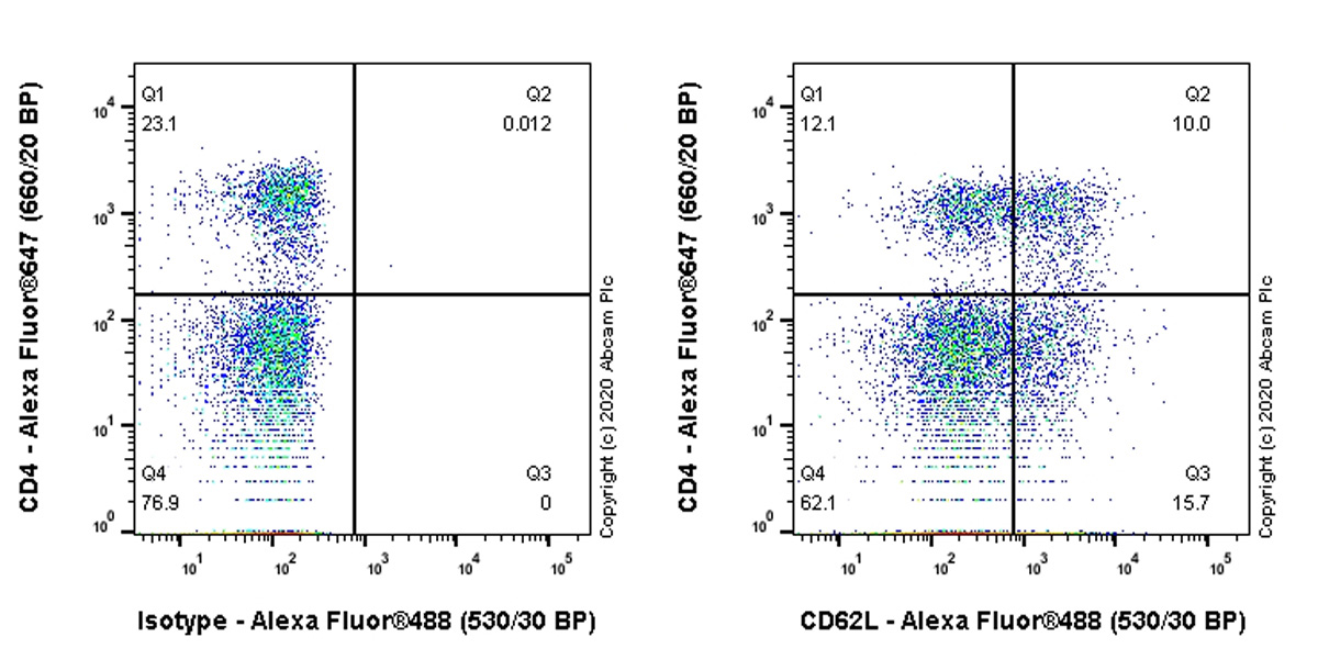 Flow Cytometry - Anti-CD62L antibody [EPR23565-109] (AB245239)