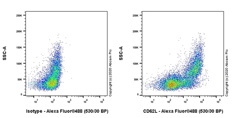 Flow Cytometry - Anti-CD62L antibody [EPR23565-109] (AB245239)