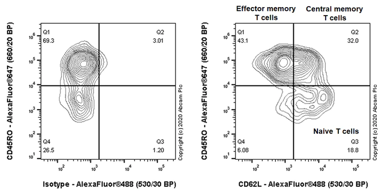 Flow Cytometry - Anti-CD62L antibody [EPR23565-109] - BSA and Azide free (AB272170)