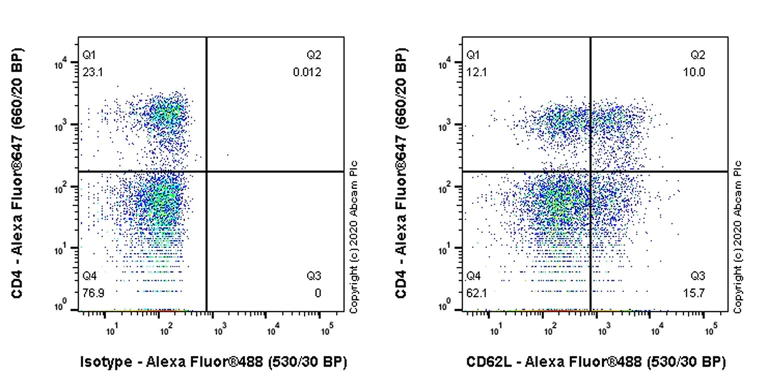 Flow Cytometry - Anti-CD62L antibody [EPR23565-109] - BSA and Azide free (AB272170)