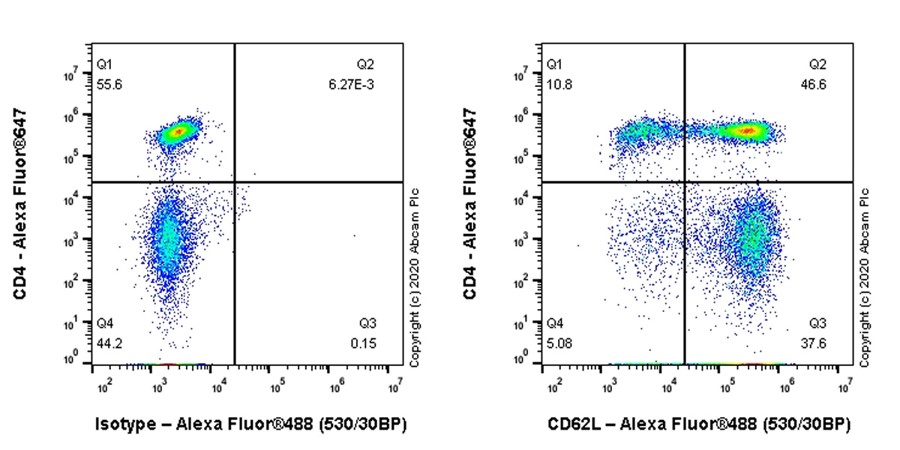 Flow Cytometry - Anti-CD62L antibody [MEL-14] (AB119834)