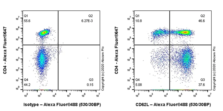 Flow Cytometry - Anti-CD62L antibody [MEL-14] (AB119834)