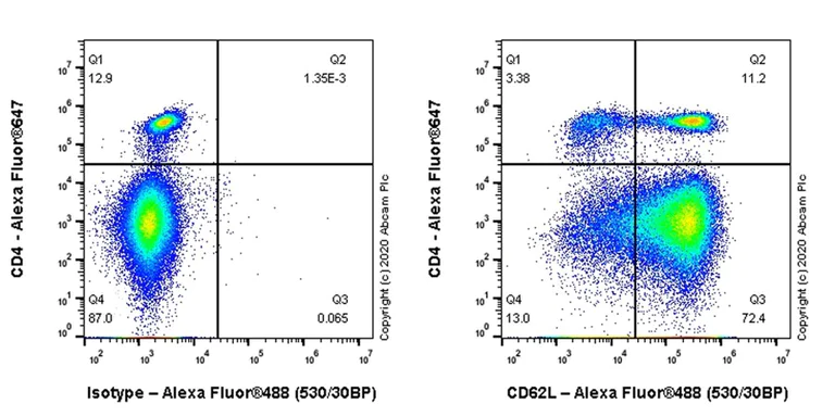 Flow Cytometry - Anti-CD62L antibody [MEL-14] (AB119834)