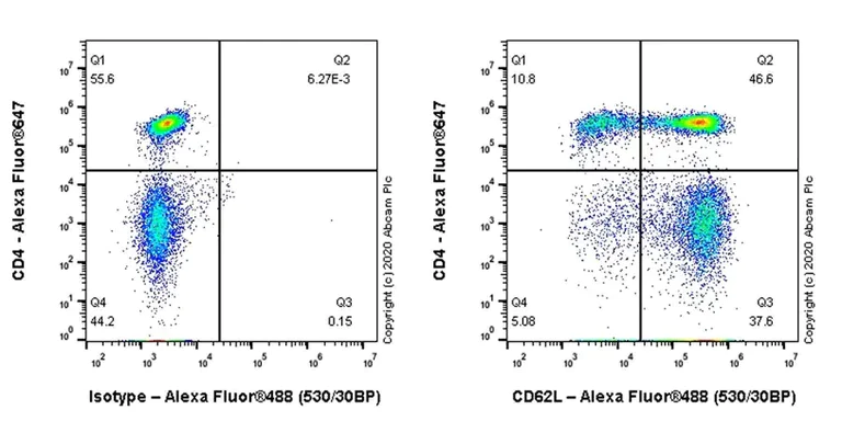 Flow Cytometry - Anti-CD62L antibody [MEL-14] - BSA and Azide free (AB256147)
