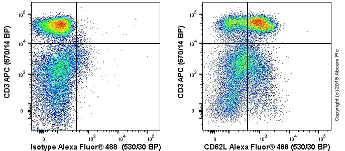 Flow Cytometry - Anti-CD62L antibody [OX85] (AB238473)