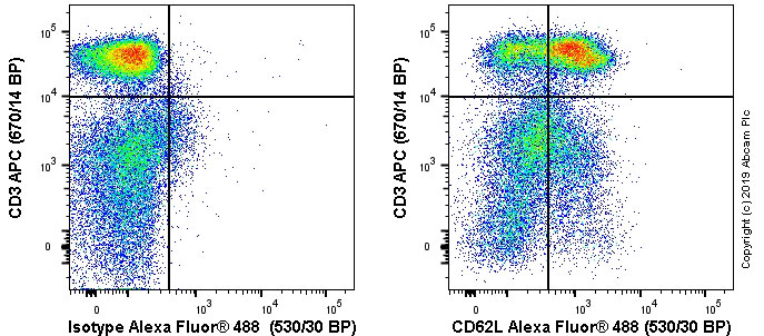 Flow Cytometry - Anti-CD62L antibody [OX85] - BSA and Azide free (AB244587), expandable thumbnail