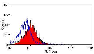 Flow Cytometry - Anti-CD63 antibody [AD1] (AB108950)