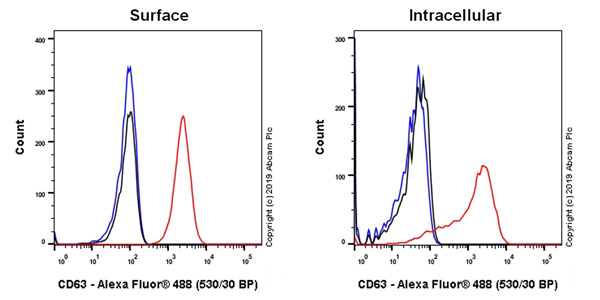 Flow Cytometry - Anti-CD63 antibody [EPR22458-280] (AB252919), expandable thumbnail
