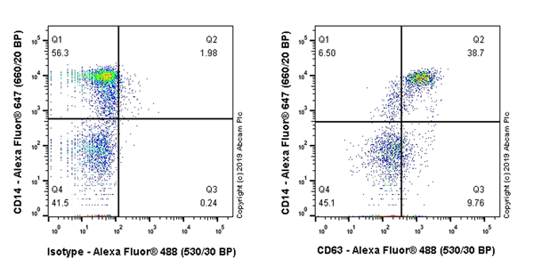 Flow Cytometry (Intracellular) - Anti-CD63 antibody [EPR22458-280] (AB252919), expandable thumbnail