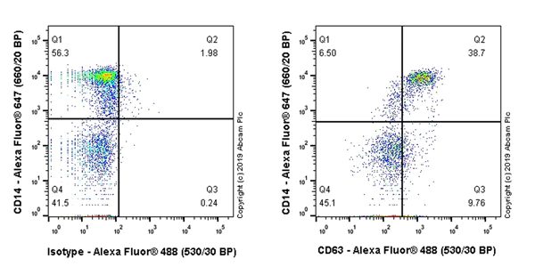 Flow Cytometry (Intracellular) - Anti-CD63 antibody [EPR22458-280] (AB252919)