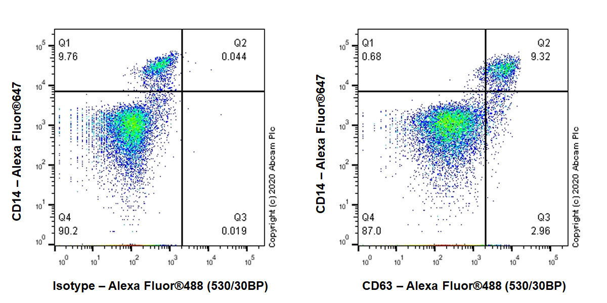 Anti-CD63 antibody [MX-49.129.5] (ab193349) | Abcam