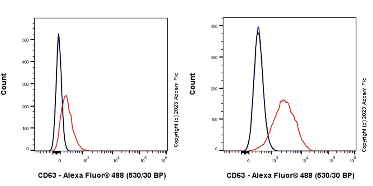 Anti-CD63 antibody [RM1095] Rabbit multiclonal (ab315108