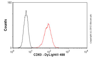 Anti-CD63 antibody [TS63] - BSA and Azide free