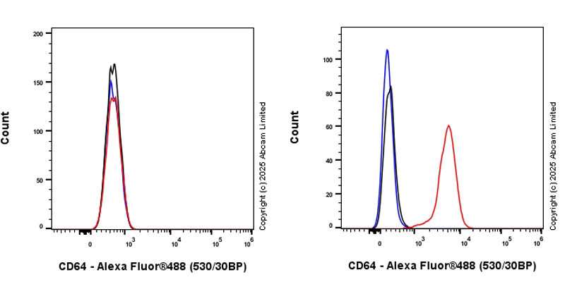 Anti-CD64 antibody [EPR26480-569] (ab323507) | Abcam