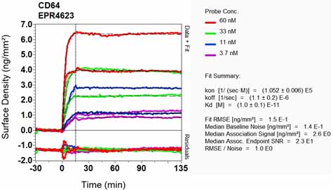 OI-RD Scanning - Anti-CD64 antibody [EPR4623] - BSA and Azide free (AB216856), expandable thumbnail