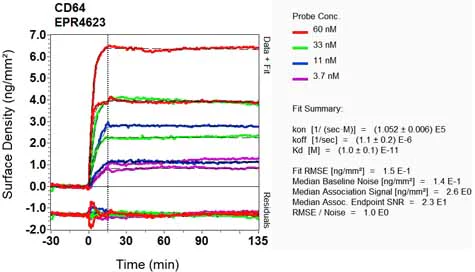 OI-RD Scanning - Anti-CD64 antibody [EPR4623] - BSA and Azide free (AB216856)