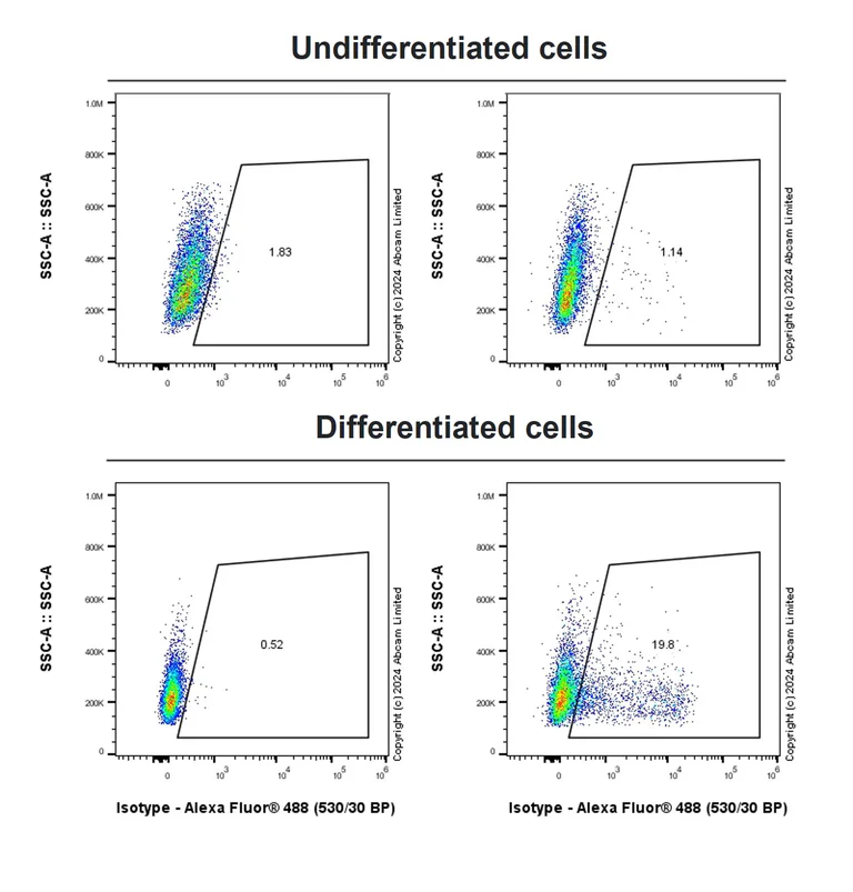 Flow Cytometry - Anti-CD66b antibody [EPR27440-29] - BSA and Azide free (AB325956)