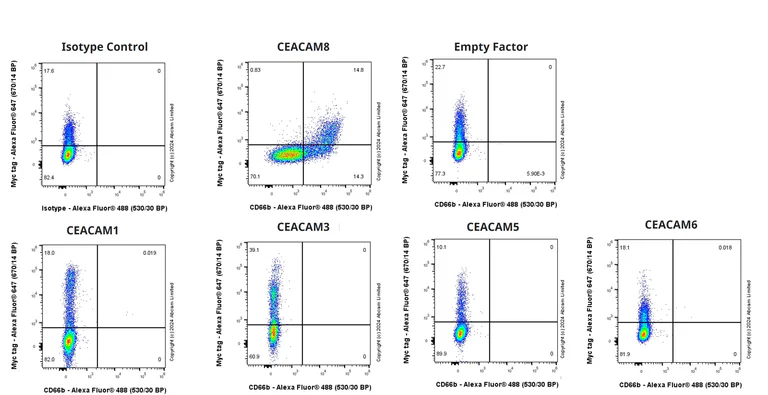 Flow Cytometry (Intracellular) - Anti-CD66b antibody [EPR27440-29] - BSA and Azide free (AB325956)