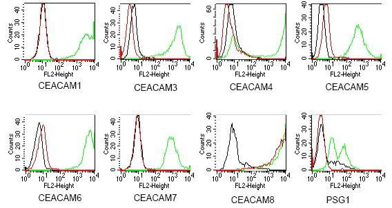 Flow Cytometry - Anti-CD66b antibody [GM-2H6] (AB48589)