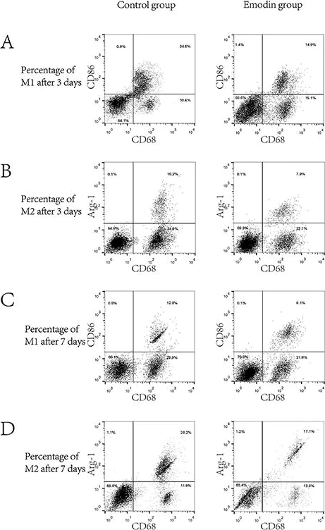 Flow Cytometry - Anti-CD68 antibody [ED1] (AB31630)