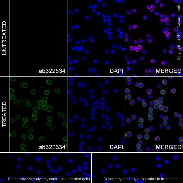 Anti-CD69 antibody [RM1274] (ab322534) | Abcam