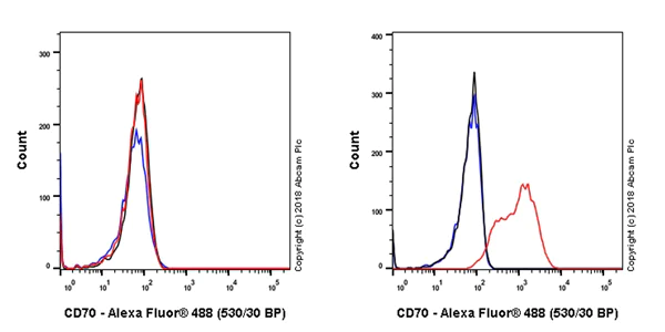 Flow Cytometry - Anti-CD70 antibody [EPR21946-290] (AB223292)