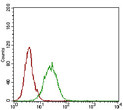 Flow Cytometry - Anti-CD73 antibody [4G6E3] (AB202122), expandable thumbnail