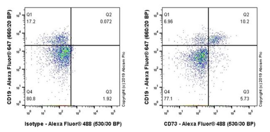 Flow Cytometry - Anti-CD73 antibody [AD2] (AB130451), expandable thumbnail