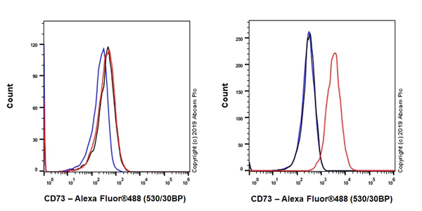 Flow Cytometry - Anti-CD73 antibody [EPR23048-139] (AB227030)