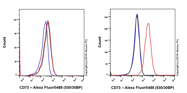 Flow Cytometry - Anti-CD73 antibody [EPR23048-139] - BSA and Azide free (AB268024)