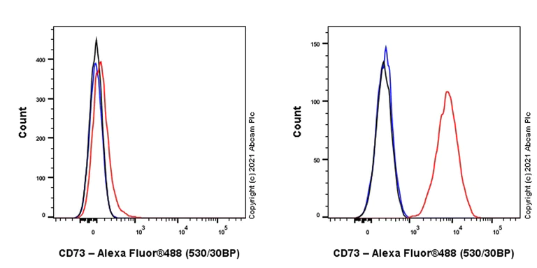 Flow Cytometry - Anti-CD73 antibody [EPR25191-104] (AB288154)
