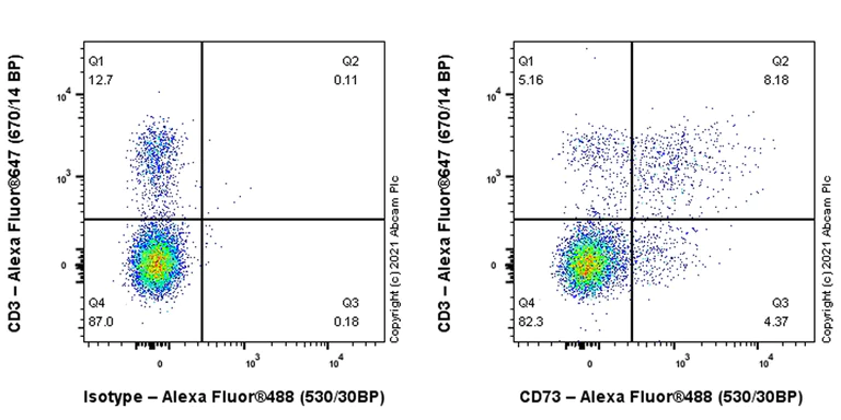 Flow Cytometry - Anti-CD73 antibody [EPR25191-104] - BSA and Azide free (AB288161)