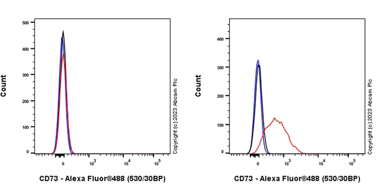 Flow Cytometry (Intracellular) - Anti-CD73 antibody [EPR28213-52] (AB313339)