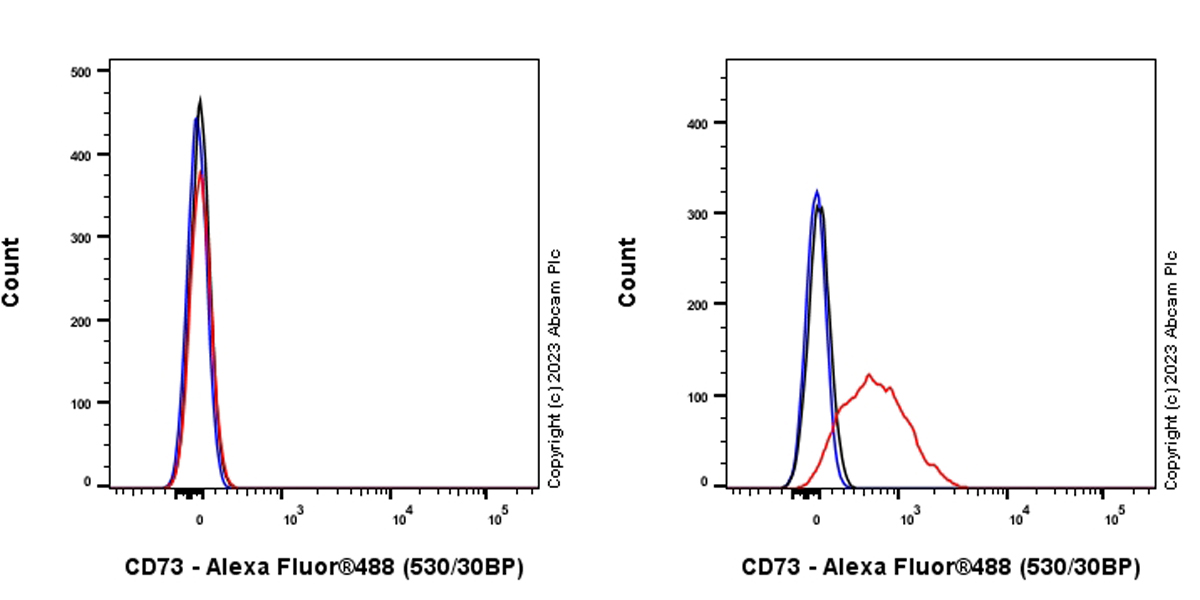 Flow Cytometry (Intracellular) - Anti-CD73 antibody [EPR28213-52] - BSA and Azide free (ab313340), expandable thumbnail