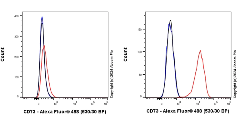 Flow Cytometry - Anti-CD73 antibody [RM2050] - BSA and Azide free (AB317463)