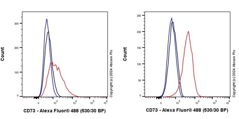Flow Cytometry - Anti-CD73 antibody [RM2050] - BSA and Azide free (AB317463)