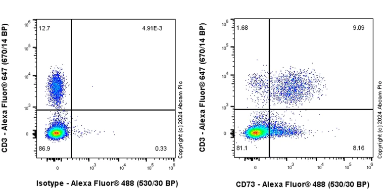 Flow Cytometry - Anti-CD73 antibody [RM2050] - BSA and Azide free (AB317463)
